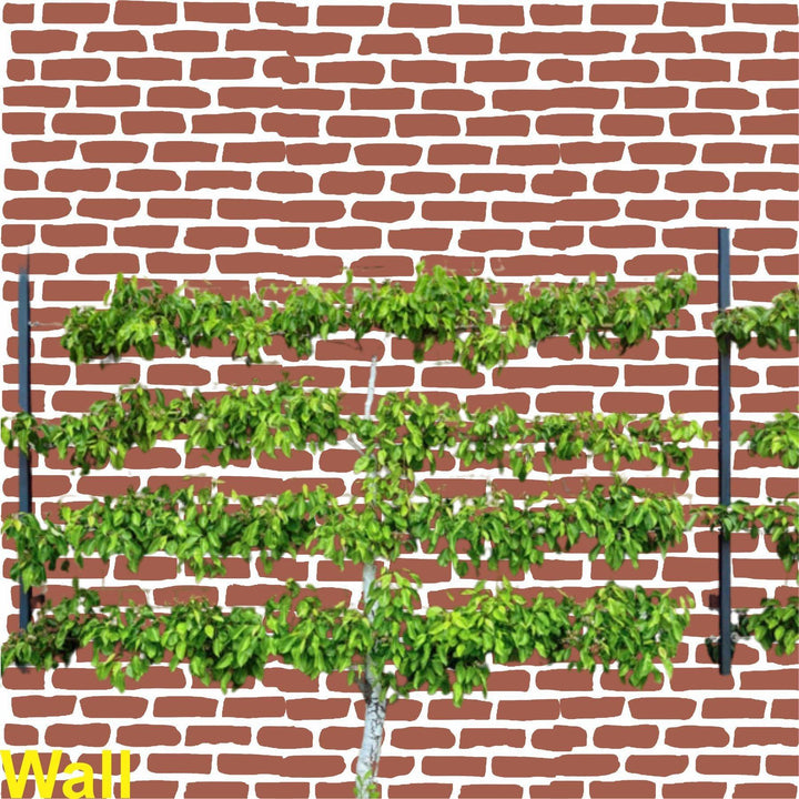 Classic Brick Charm: Timeless Brick Texture For Canvas And Wall Painting -